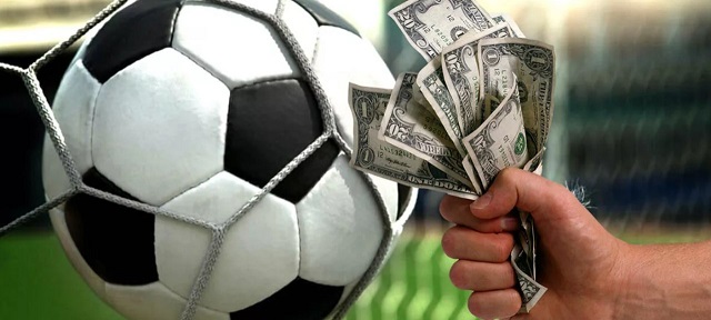 Explore the Features and Benefits of the Betwinner App Explore the Features and Benefits of the Betwinner App